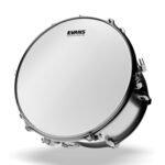 ev_b08g2_main_transparent