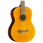 Guitarra Acústica ”Primo Series” | Eko