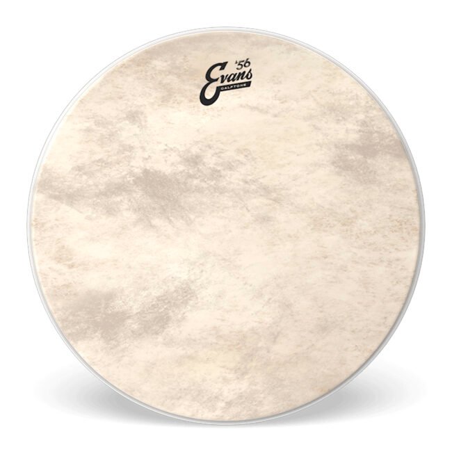 Parche Calftone de 22” para Bombo ”BD22CT” | Evans
