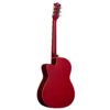 AG39C-RDS 2