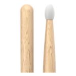 pw5bn_main_transparent