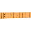 Telecaster Player II Natural