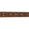 0171040703-1 Telecaster American Performer