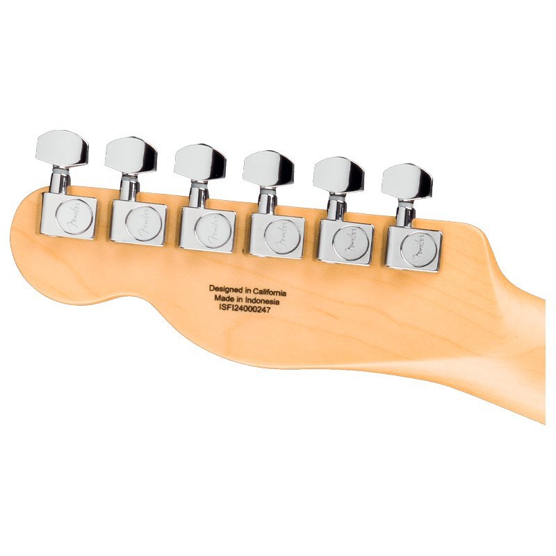 Telecaster Standard Natural
