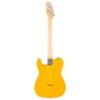 Telecaster Standard Natural