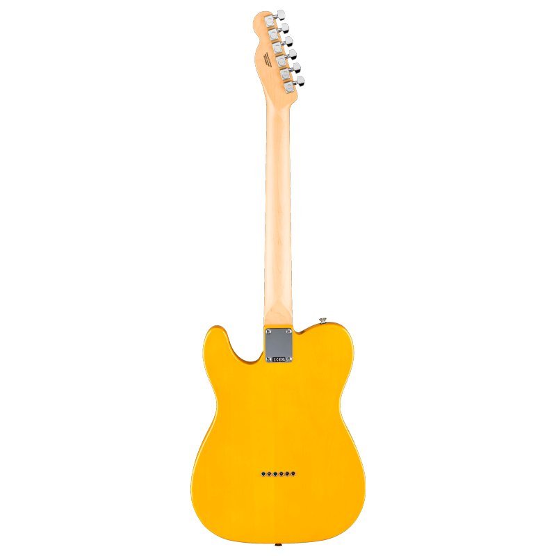 Telecaster Standard Natural