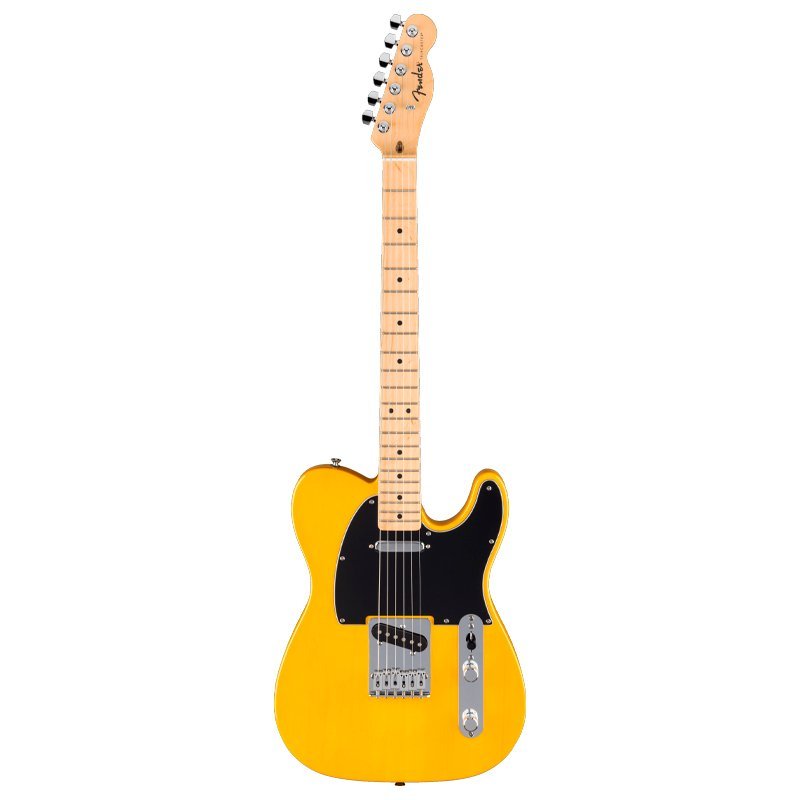 Telecaster Standard Natural
