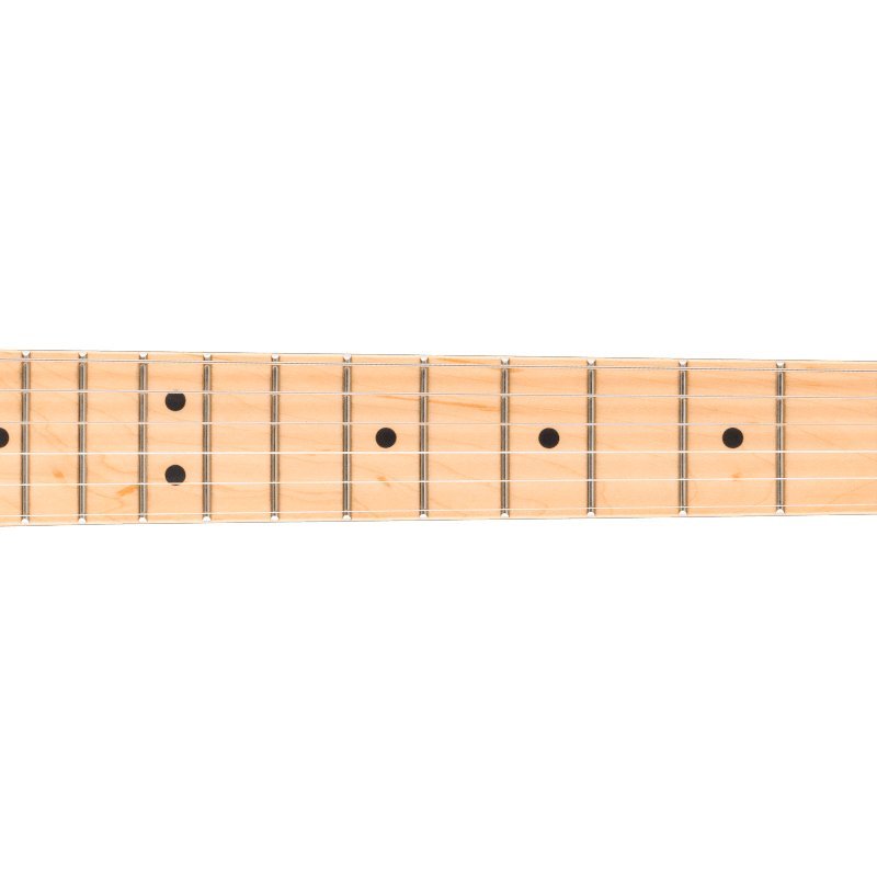 Telecaster Standard Natural