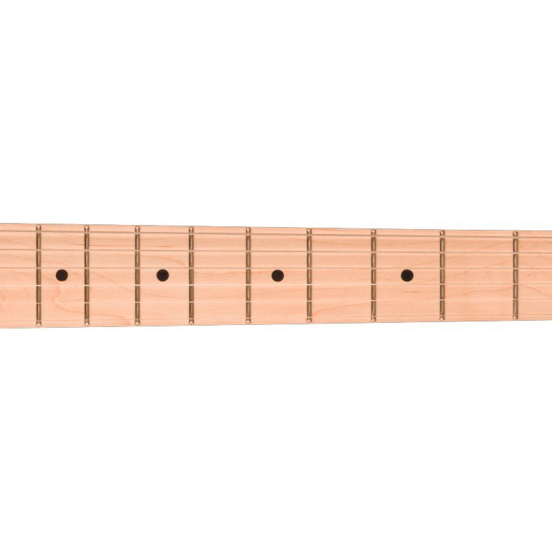 Fender