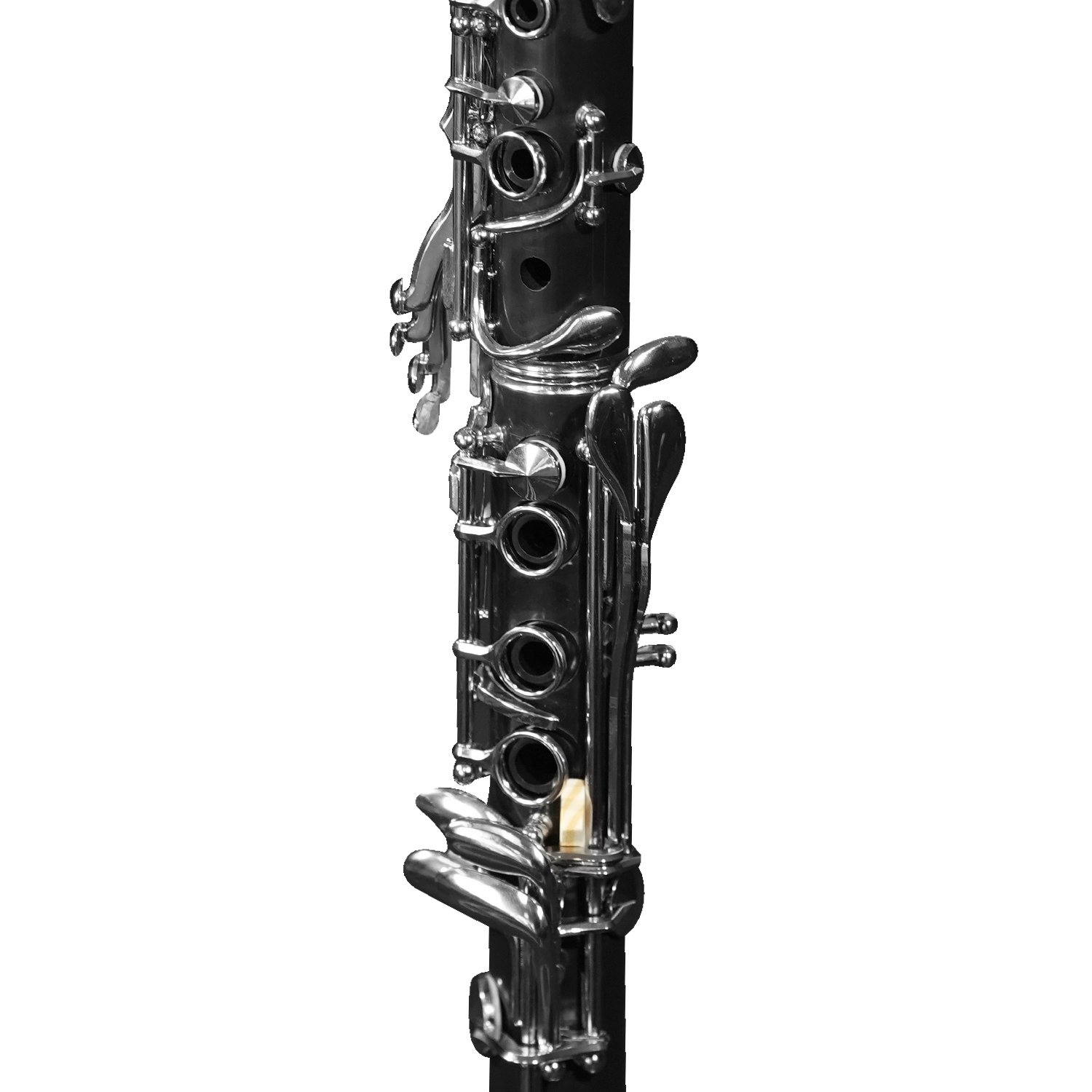 FCL 1910B 03