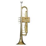 Trompeta Profesional Dorada ''TP-100L'' | Hoffer