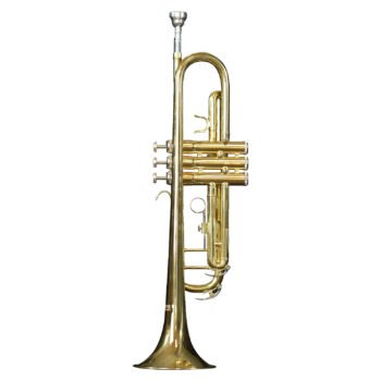 Trompeta Profesional Dorada ''TP-100L'' | Hoffer