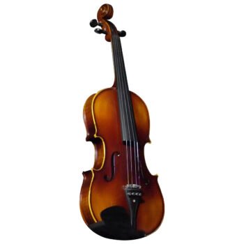 Violín Profesional ''V003-A1'' | Hoffer