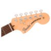 Stratocaster American Performer Timber