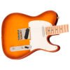 Telecaster American Performer Timber Fender
