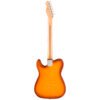 Telecaster American Performer Timber Fender