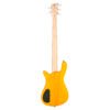 WRB1515 05PA CAR FR-1 Bajo Eléctrico RockBass de 5 Cuerdas