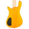 WRB1515 05PA CAR FR Bajo Eléctrico RockBass de 5 Cuerdas