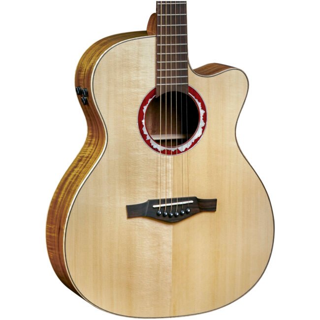 Guitarra Electroacústica Eko ALPS J450ce